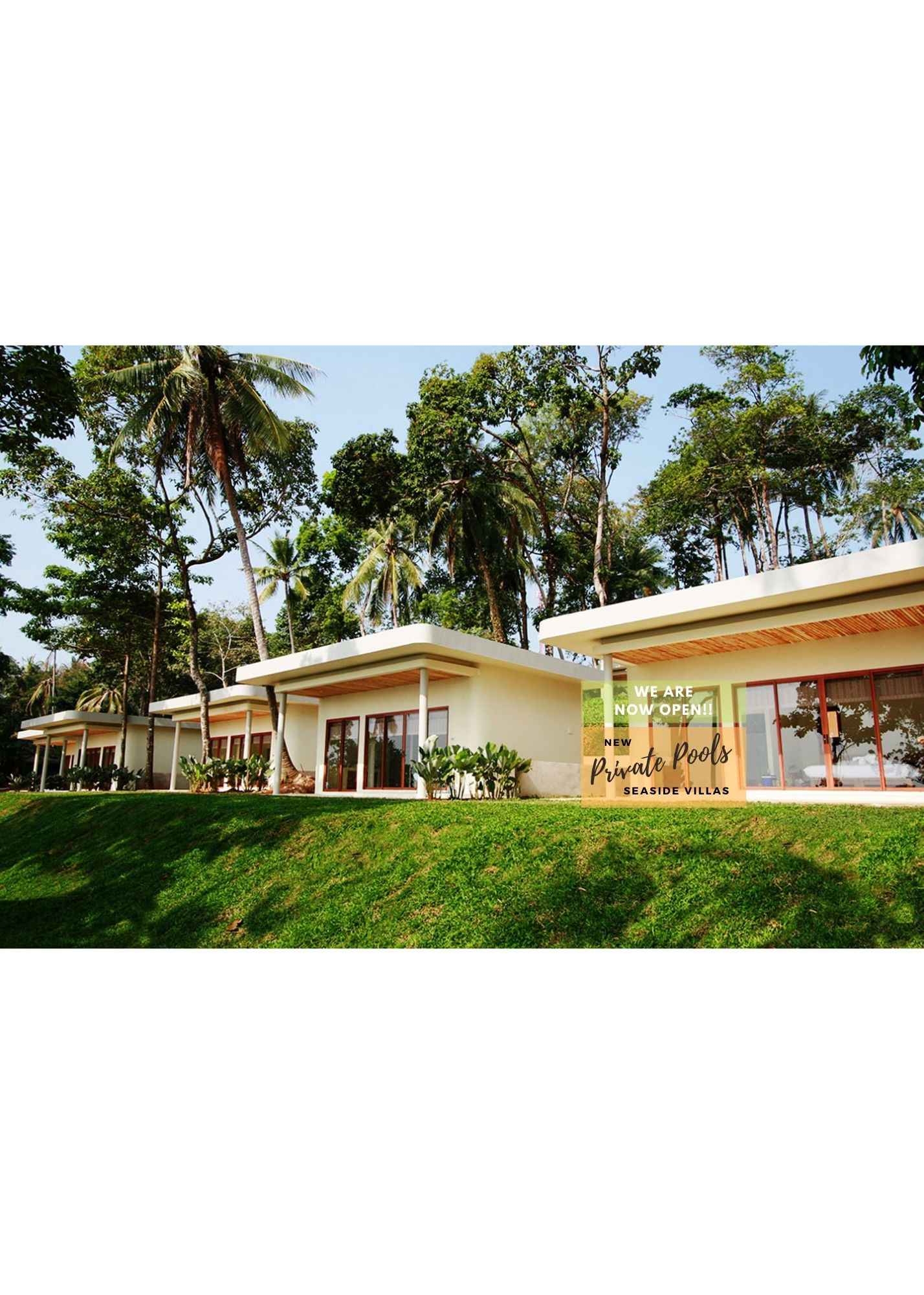 Nest Sense Resort